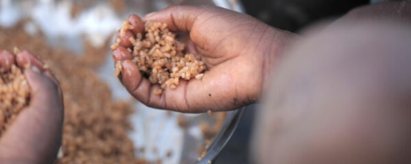 Pauvreté et famine à Madagascar