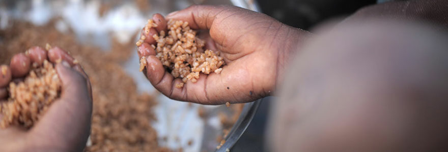 Pauvreté et famine à Madagascar